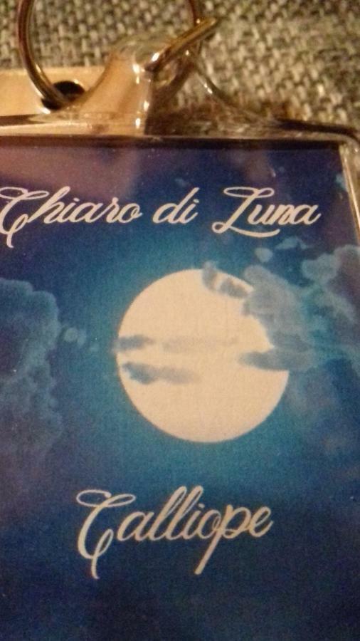 Апартаменты Chiaro Di Luna Санта-Доменика Номер фото
